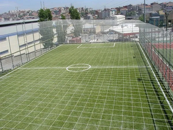 HALI SAHA FİLESİ